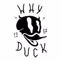 WHY|DUCK ARTS