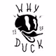 WHY|DUCK ARTS