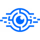 Coin Revision