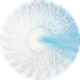 The Ocean i