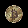 Boss Bitcoins