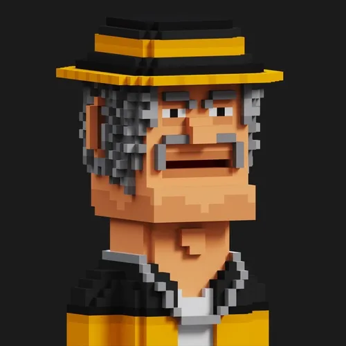 The Blocky Heads Official