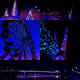 A Purple Night