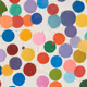 Damien Hirst - The Currency
