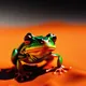 Beautiful Little Frog
