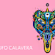 UFO Calavera