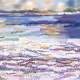 Root_Everyday Sea
