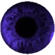 CONTINUUM 020