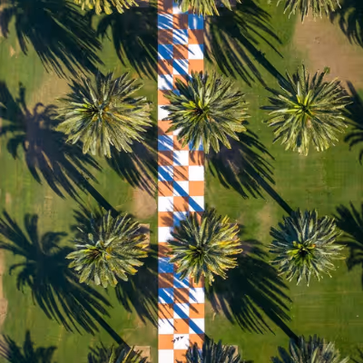 The Collectibles - Natural by Rich Caldwell