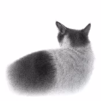 Jaewook_NFT: Pencil Drawing