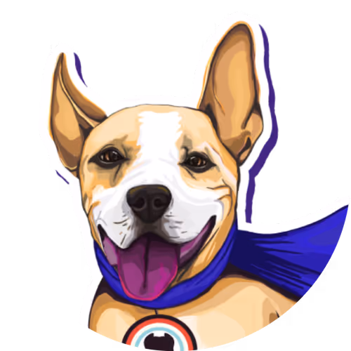 LeagueOfPitbulls Collection
