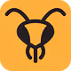 Honey Gang Bees