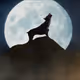 Wolf Quest