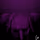 CHBZ DIGIPAINT NFT