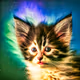 KAIttens