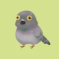 Chubby Birds
