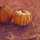 Digitally Painted NFT