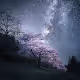 Luminoza