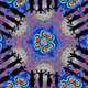 GENERATIVE HUMAN - Limited Editions