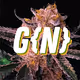 Genetics {NFT}