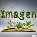 Imagen Artworks 1/1 - old