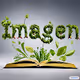 Imagen Artworks 1/1 - old