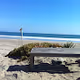 True Ventures Stinson Beach
