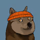 Doge Punks NFT