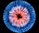 Eve's Eye