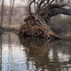 a fisherman's perspective - old