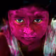 Editions by Mahesh - Little Goddess