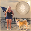 Gulf Coast Coin Series