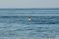 Bound to the Sea
