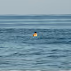 Bound to the Sea