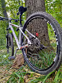 Blockchain on Cannondale and my rehabilitation. - old