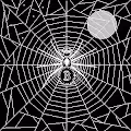 Crypto-Web
