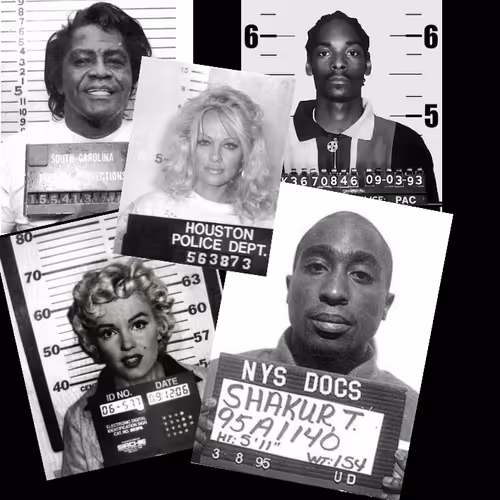 Celebrity Mugshots "JAIL"