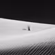 Black / White Sands