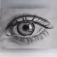 Realistic Charcoal Drawings