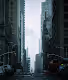 Lost in the Concrete Jungle