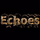 Echoes: A Journey Through Brancusi's Digital Garden