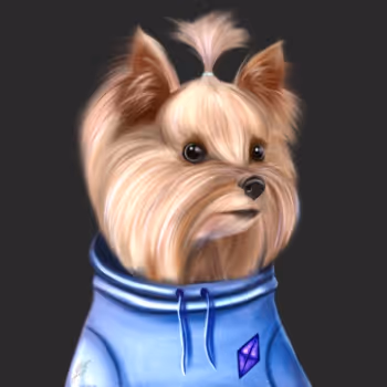 The cute dog collections