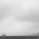 Black&White Journey