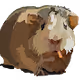 Guinea Dominion