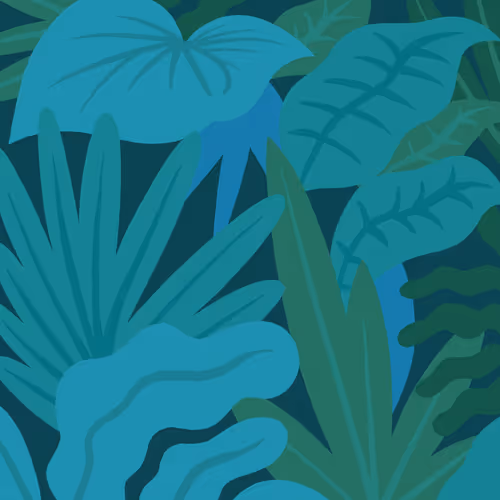 3 Ayahuasca_Cats floor 0.0008