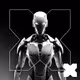 X-Network