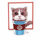 Cat coffee - old