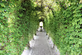 A Bridge to Reality