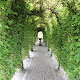 A Bridge to Reality