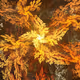 Fractal Anarchy